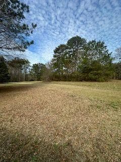 single family residence for sale at 0 Frashier Road, Carrollton, GA 30116 — photo 9