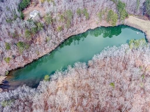 unimproved land for sale at 0 Williams TRACT D Lane, Ball Ground, GA 30107 — photo 2