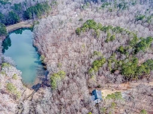 unimproved land for sale at 0 Williams TRACT D Lane, Ball Ground, GA 30107 — photo 3