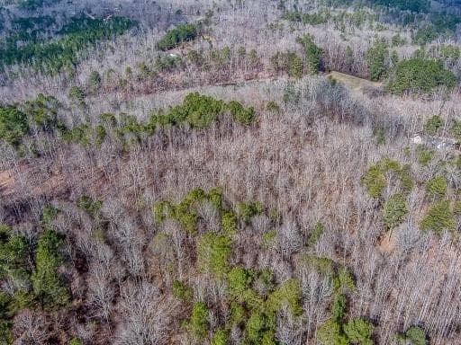 unimproved land for sale at 0 Williams TRACT D Lane, Ball Ground, GA 30107 — photo 5