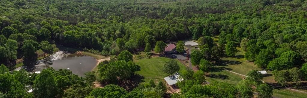 5 bedroom, 5 bathroom, 4,420 sq ft single family residence for sale at 1249 Little Mountain Road, Dawsonville, GA 30534 — photo 4