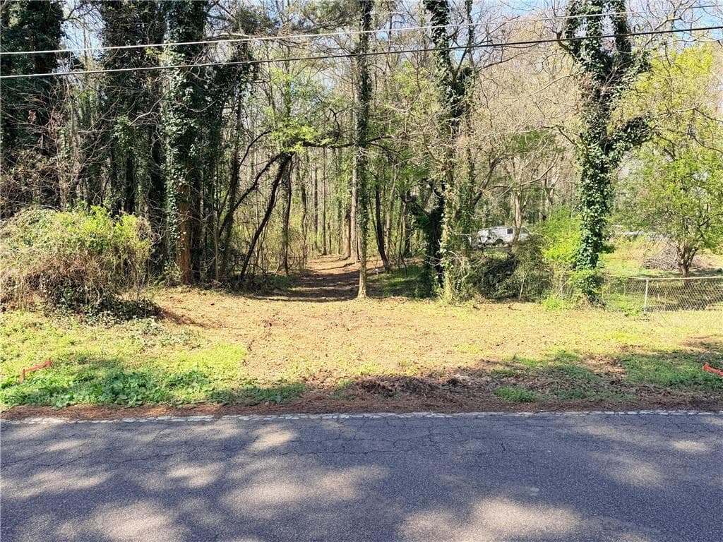 other for sale at Lot 4 Miller Street, Lithia Springs, GA 30122 — photo 5