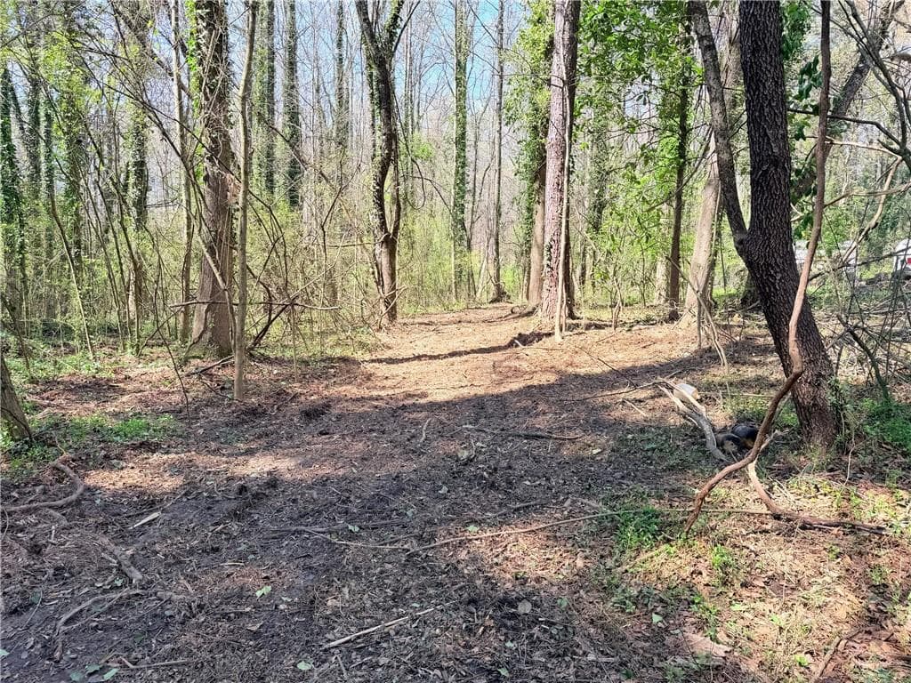 other for sale at Lot 4 Miller Street, Lithia Springs, GA 30122 — photo 6
