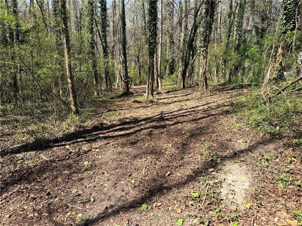 other for sale at Lot 4 Miller Street, Lithia Springs, GA 30122 — photo 7