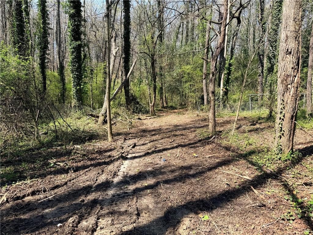 other for sale at Lot 4 Miller Street, Lithia Springs, GA 30122 — photo 8