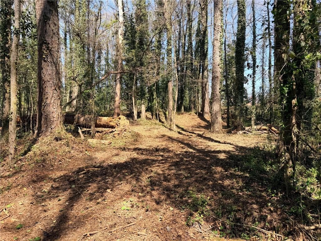 other for sale at Lot 4 Miller Street, Lithia Springs, GA 30122 — photo 9