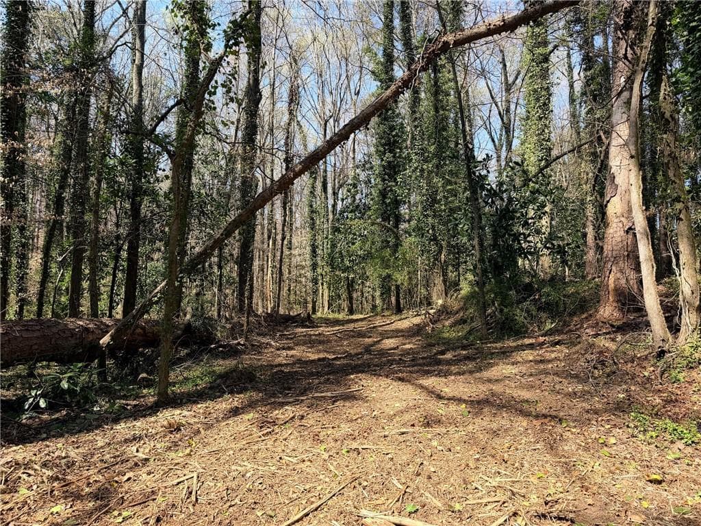 other for sale at Lot 4 Miller Street, Lithia Springs, GA 30122 — photo 10