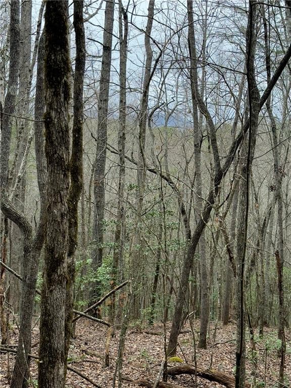 single family residence for sale at 807 East Ridge Lane, Ellijay, GA 30536 — photo 2