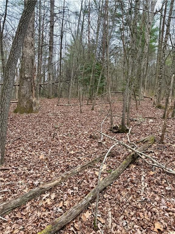 single family residence for sale at 807 East Ridge Lane, Ellijay, GA 30536 — photo 3