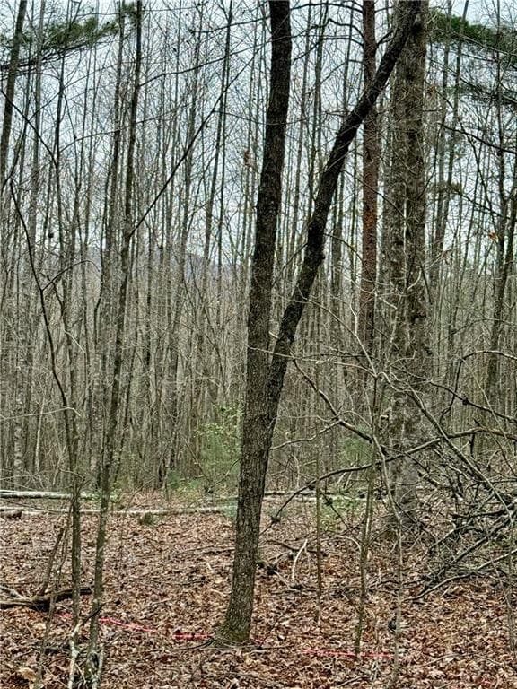 single family residence for sale at 807 East Ridge Lane, Ellijay, GA 30536 — photo 4