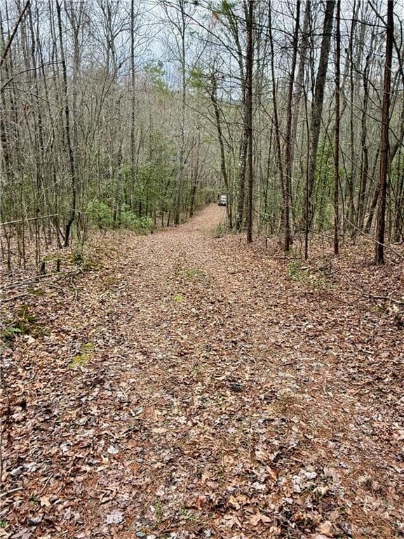 single family residence for sale at 807 East Ridge Lane, Ellijay, GA 30536 — photo 5