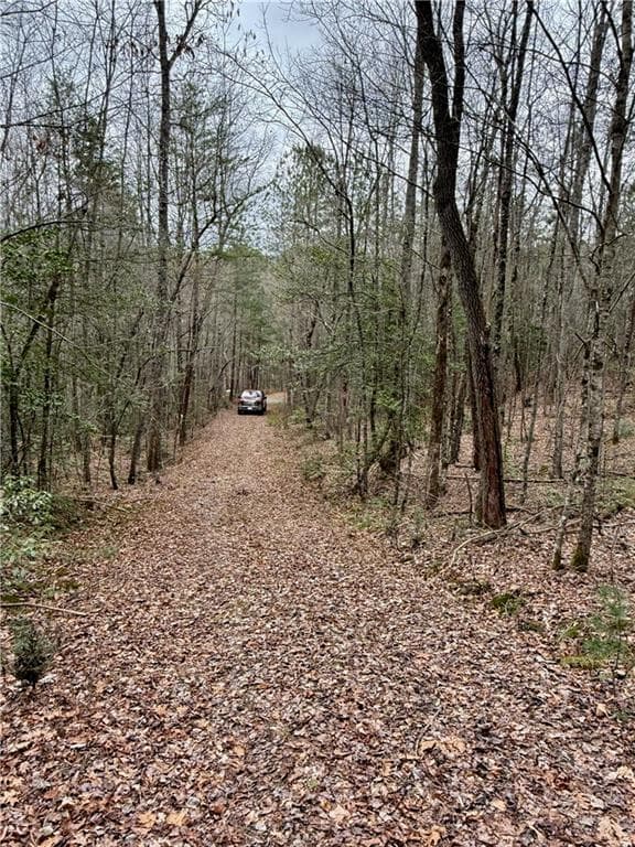single family residence for sale at 807 East Ridge Lane, Ellijay, GA 30536 — photo 6