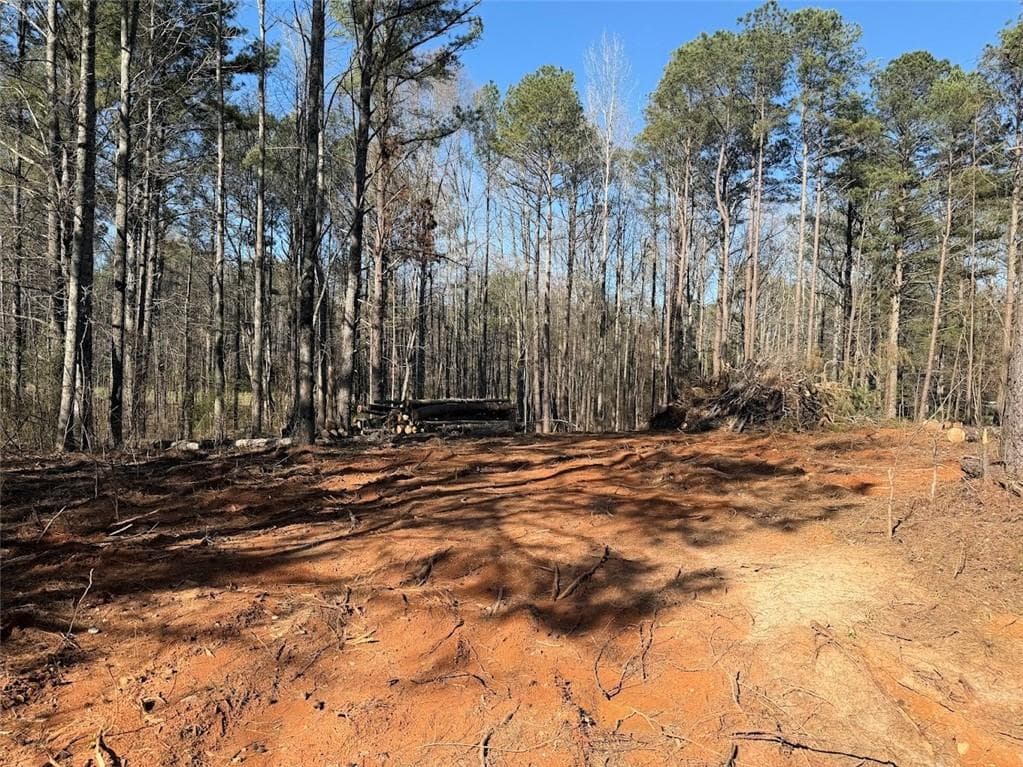 other under contract at 0 Waterford Road, Bremen, GA 30110 — photo 2
