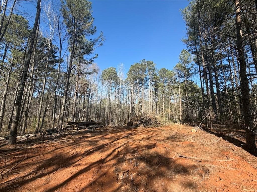 other under contract at 0 Waterford Road, Bremen, GA 30110 — photo 3