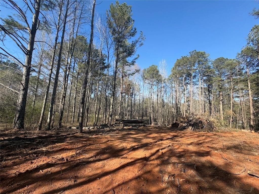 other under contract at 0 Waterford Road, Bremen, GA 30110 — photo 4
