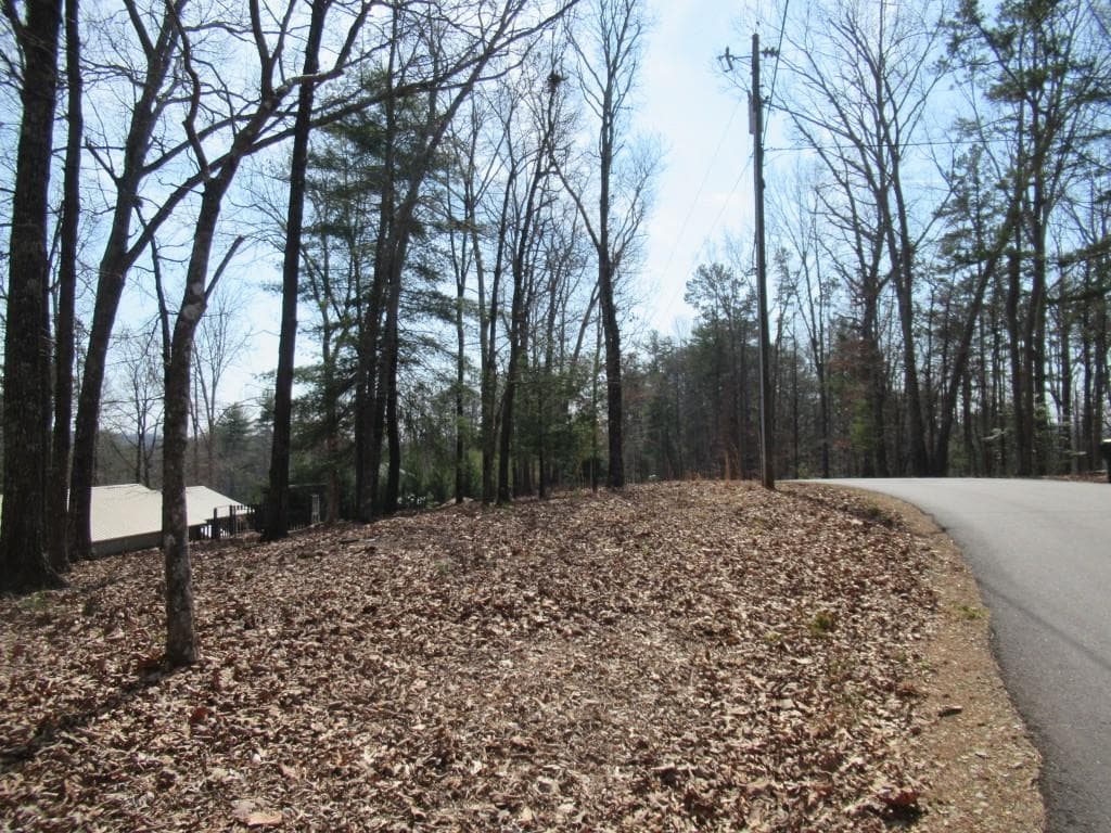1 bedroom, 1 bathroom, 1,040 sq ft single family residence for sale at 378 Laurel Circle, Dahlonega, GA 30533 — photo 5