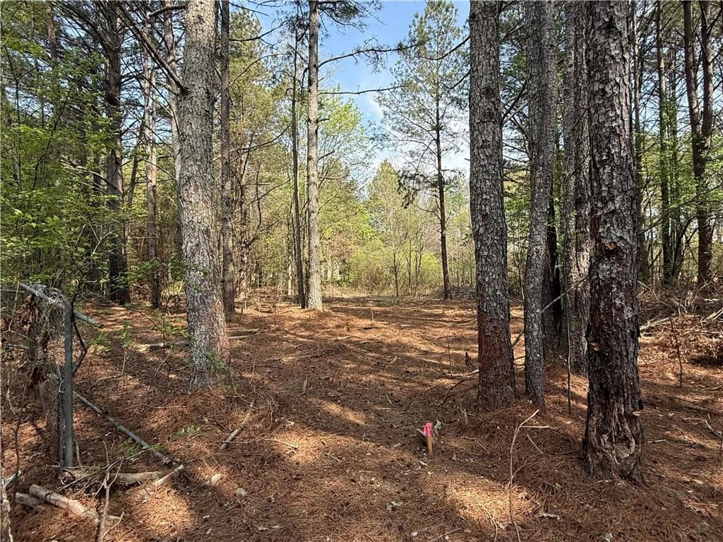 unimproved land for sale at 265 W Union Grove Circle, Auburn, GA 30011 — photo 2