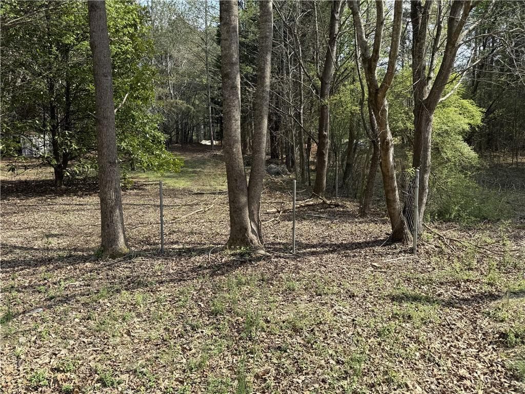 unimproved land for sale at 265 W Union Grove Circle, Auburn, GA 30011 — photo 3