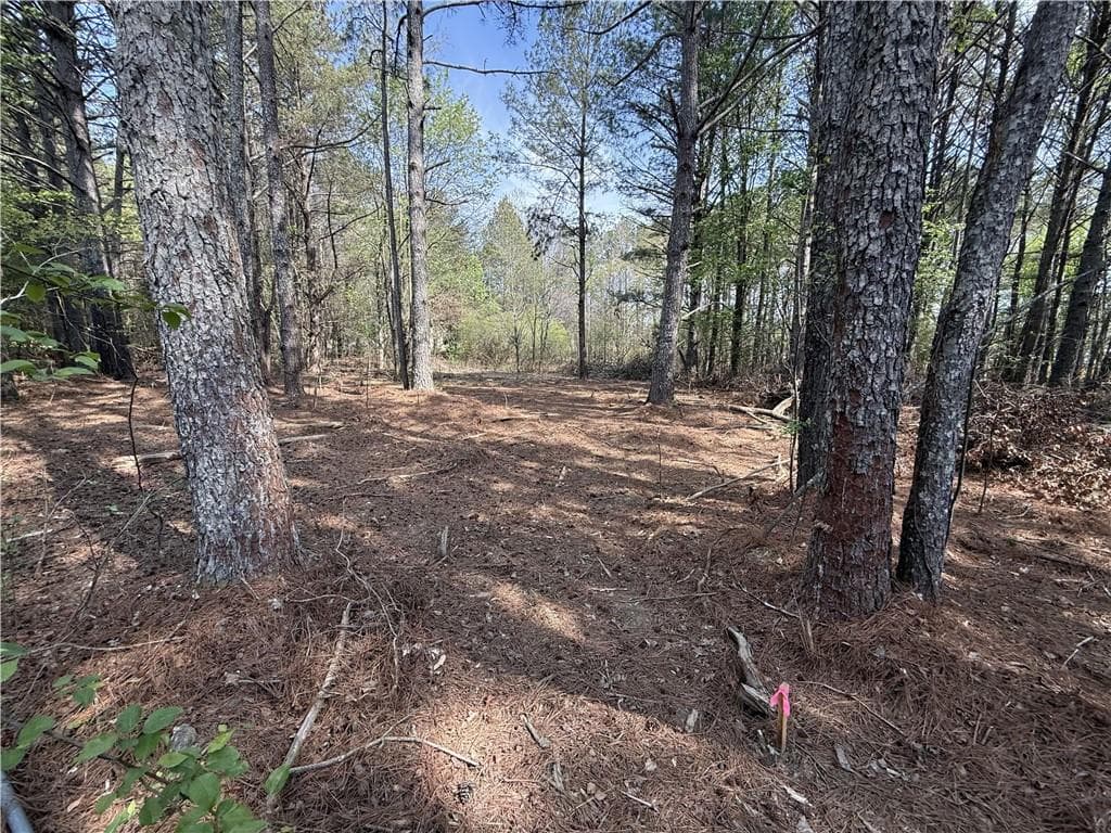 unimproved land for sale at 265 W Union Grove Circle, Auburn, GA 30011 — photo 4