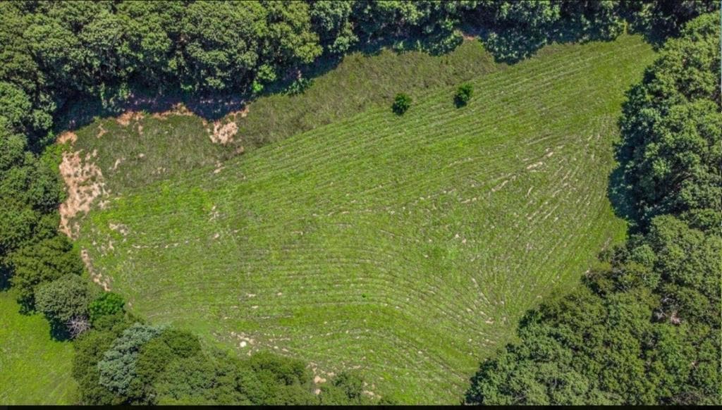 unimproved land for sale at 2579 Shoal Creek Road, Monroe, GA 30656 — photo 8