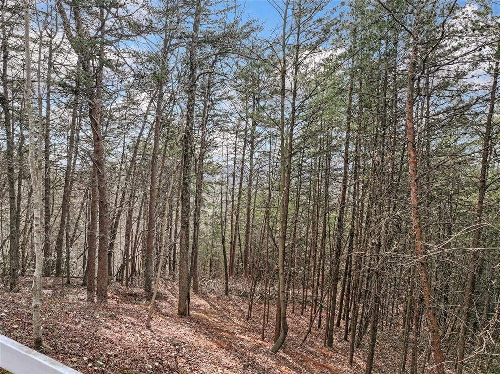 single family residence for sale at Lot 28 Crown Mountain Way, Dahlonega, GA 30533 — photo 6