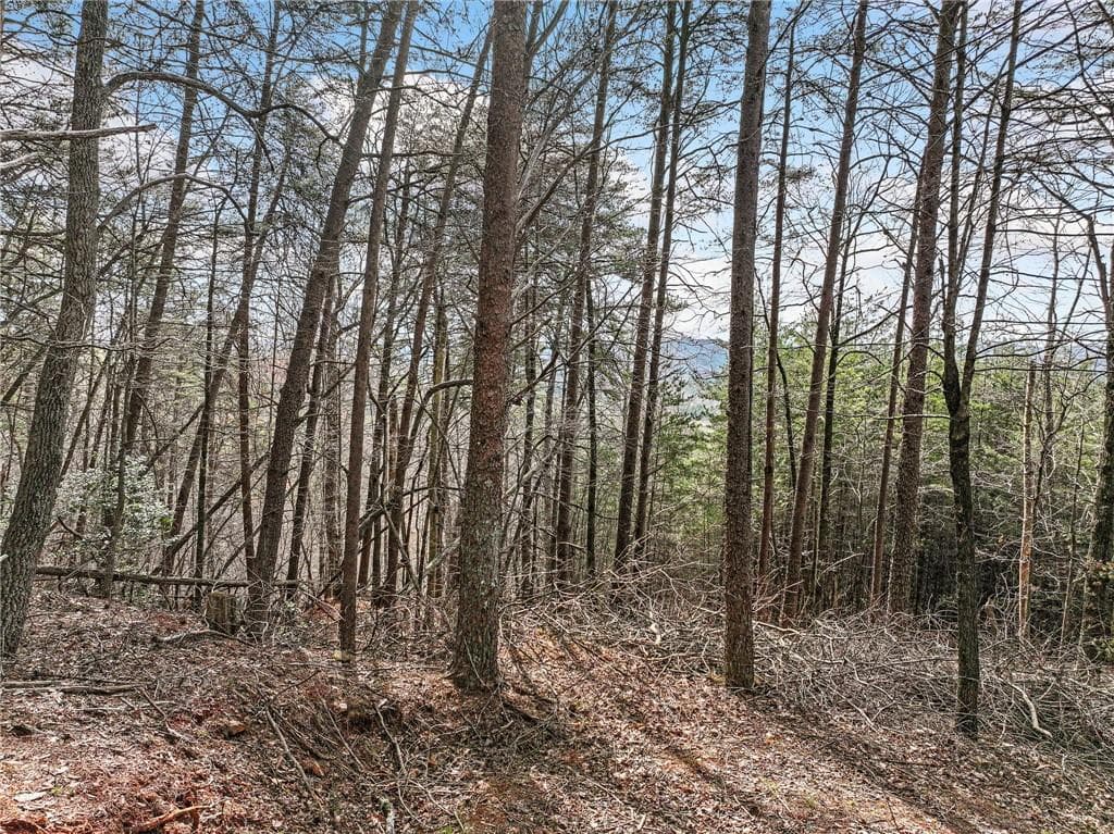 single family residence for sale at Lot 28 Crown Mountain Way, Dahlonega, GA 30533 — photo 8