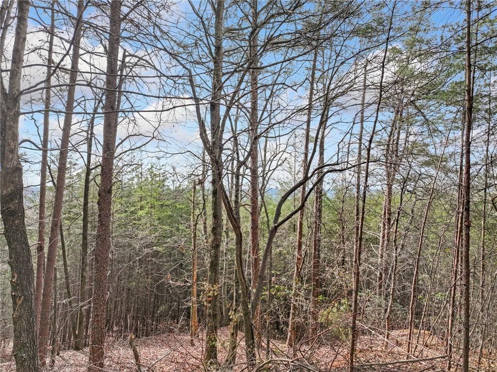 single family residence for sale at Lot 28 Crown Mountain Way, Dahlonega, GA 30533 — photo 9