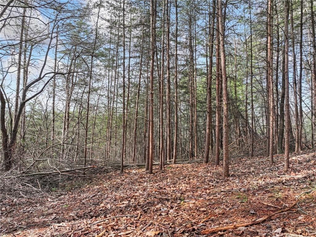 single family residence for sale at Lot 28 Crown Mountain Way, Dahlonega, GA 30533 — photo 10