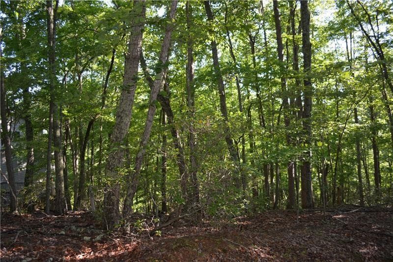 single family residence for sale at 1150 Swallow Point, Big Canoe, GA 30143 — photo 10