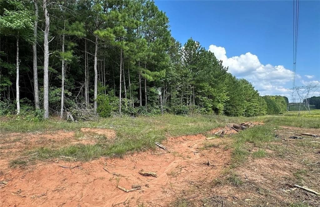unimproved land for sale at 831 Holbrook Road, Newnan, GA 30263 — photo 4