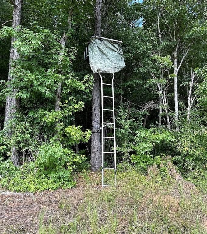 unimproved land for sale at 831 Holbrook Road, Newnan, GA 30263 — photo 5
