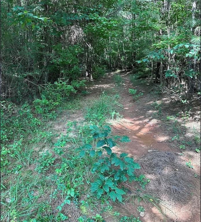 unimproved land for sale at 831 Holbrook Road, Newnan, GA 30263 — photo 6