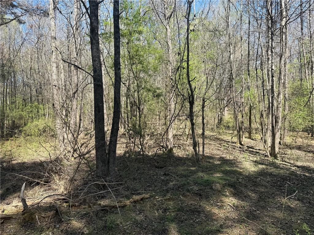 unimproved land for sale at 78 Mullinax Road, Taylorsville, GA 30178 — photo 3
