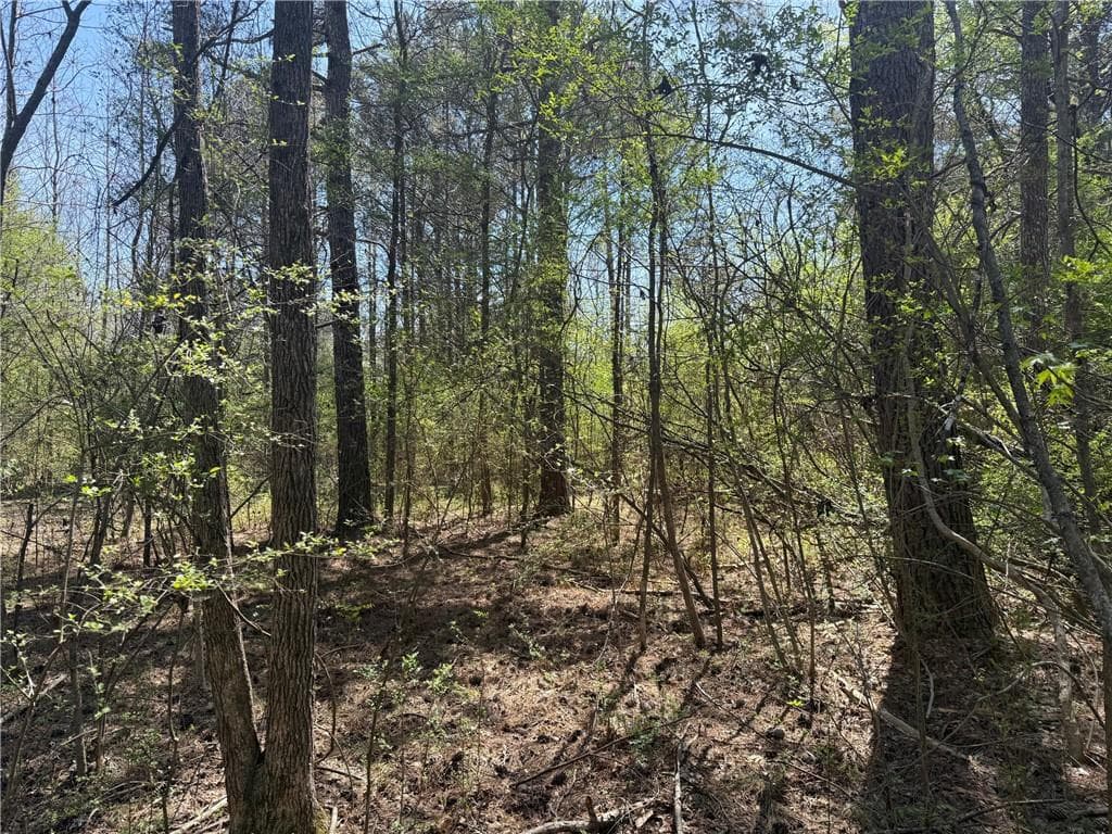 unimproved land for sale at 78 Mullinax Road, Taylorsville, GA 30178 — photo 4