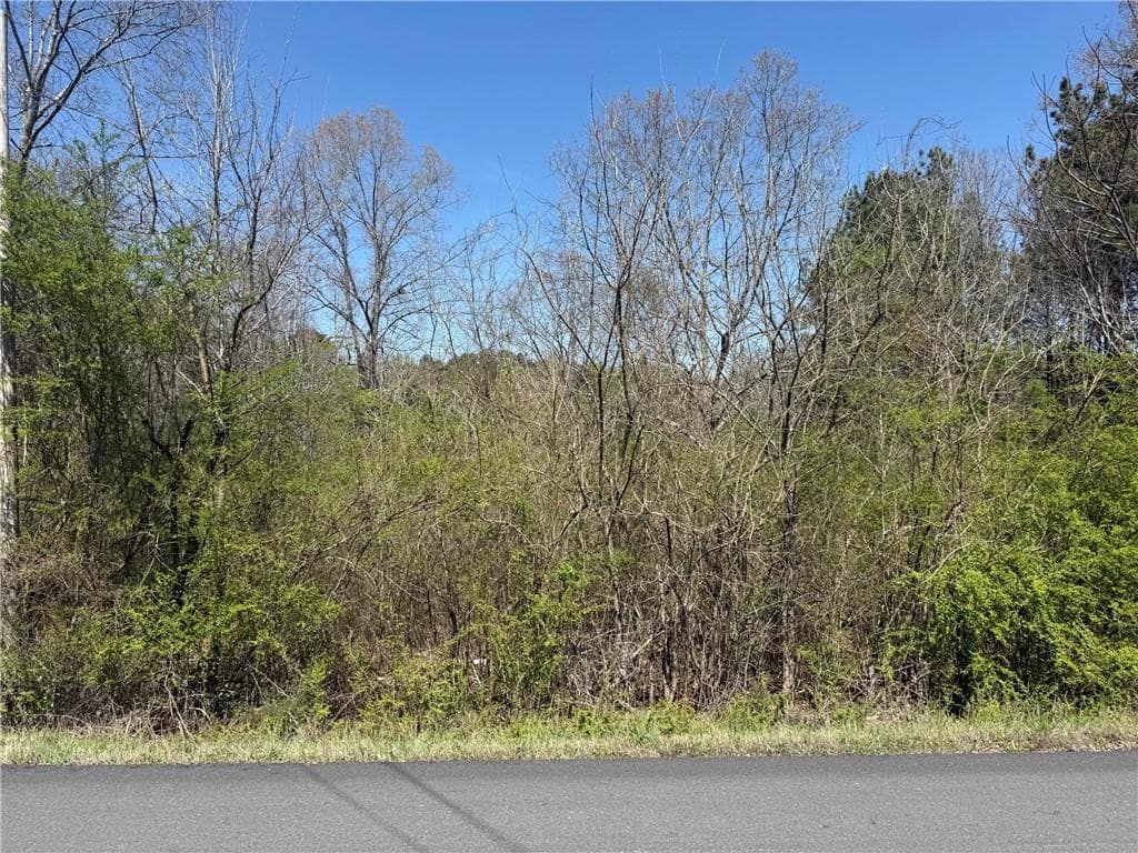 unimproved land for sale at 78 Mullinax Road, Taylorsville, GA 30178 — photo 8