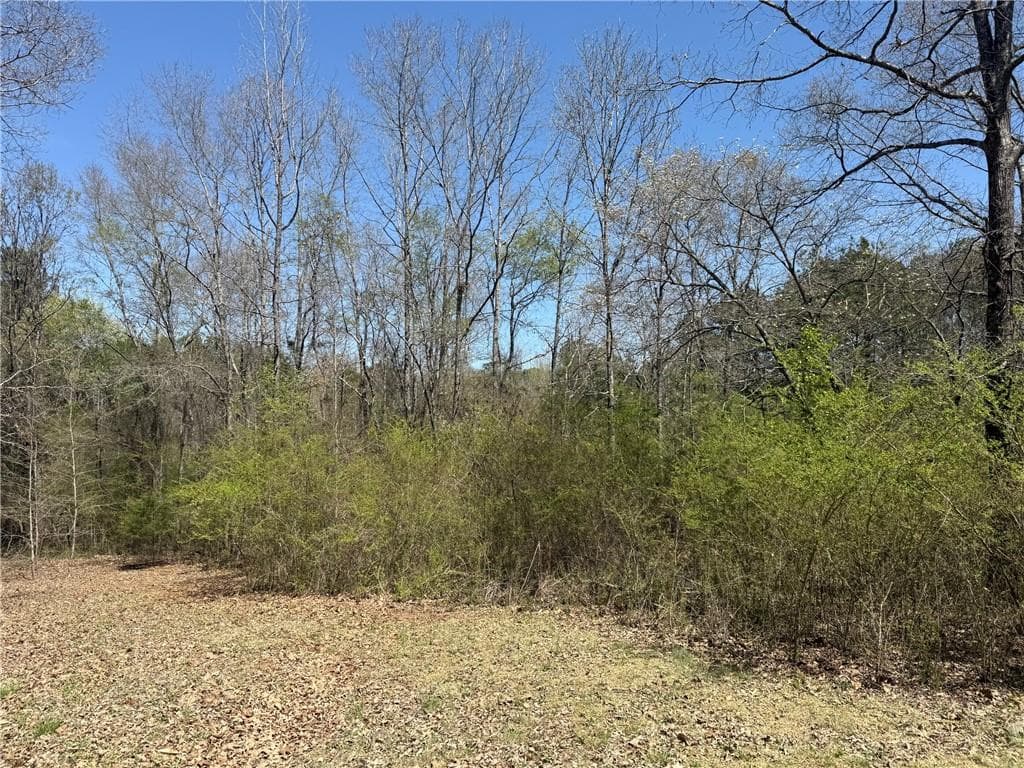 unimproved land for sale at 78 Mullinax Road, Taylorsville, GA 30178 — photo 1 of 9