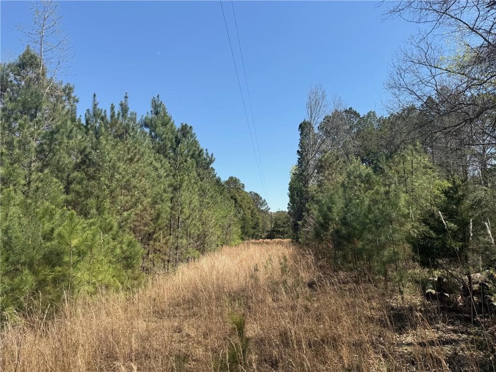 unimproved land for sale at 78 Mullinax Road, Taylorsville, GA 30178 — photo 9