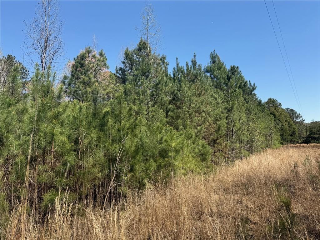 unimproved land for sale at 78 Mullinax Road, Taylorsville, GA 30178 — photo 5