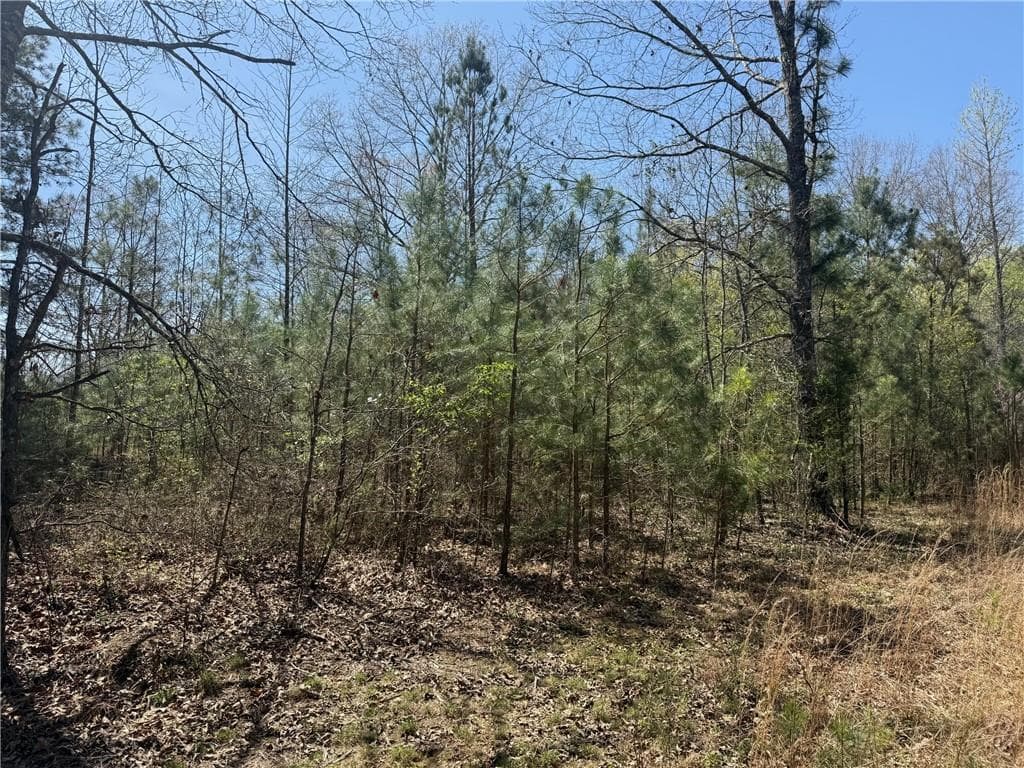 unimproved land for sale at 78 Mullinax Road, Taylorsville, GA 30178 — photo 6
