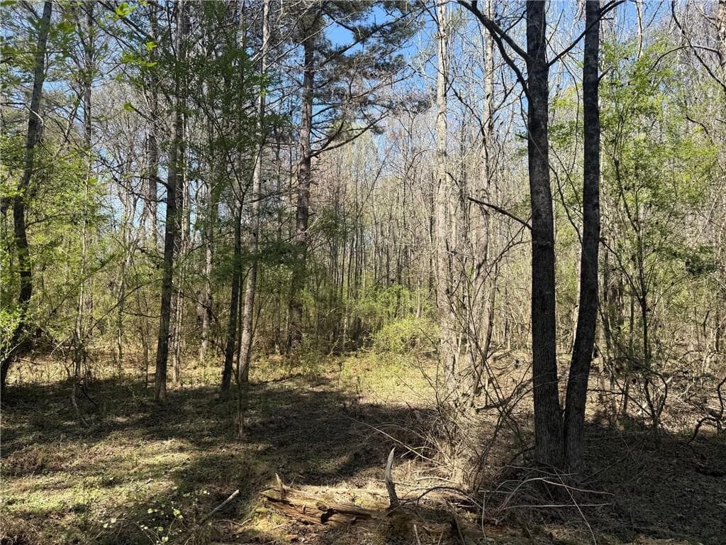 unimproved land for sale at 78 Mullinax Road, Taylorsville, GA 30178 — photo 2