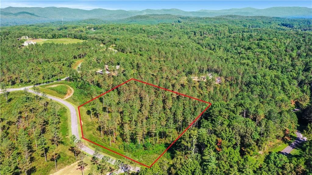 unimproved land for sale at 13 Poetic Court, Ellijay, GA 30540 — photo 1 of 10