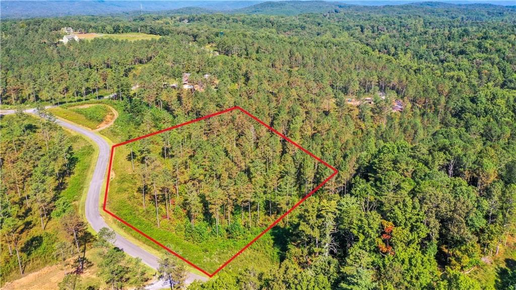 unimproved land for sale at 13 Poetic Court, Ellijay, GA 30540 — photo 4