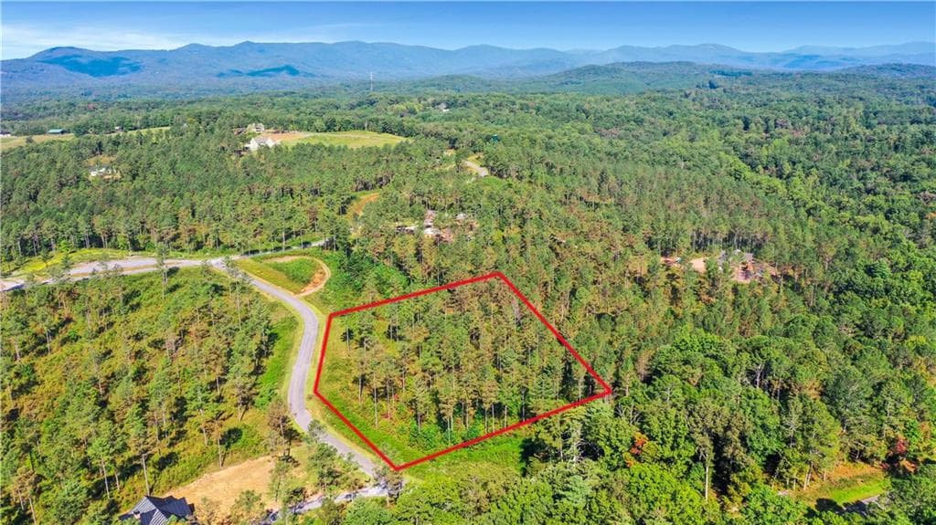 unimproved land for sale at 13 Poetic Court, Ellijay, GA 30540 — photo 5