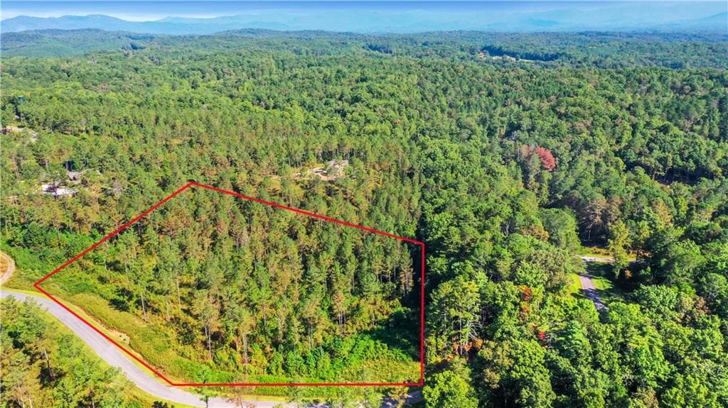 unimproved land for sale at 13 Poetic Court, Ellijay, GA 30540 — photo 7