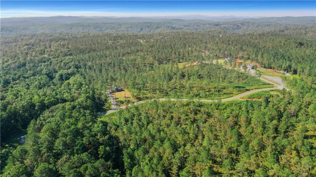 unimproved land for sale at 13 Poetic Court, Ellijay, GA 30540 — photo 8