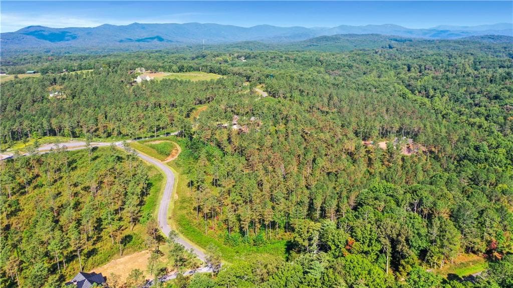 unimproved land for sale at 13 Poetic Court, Ellijay, GA 30540 — photo 9