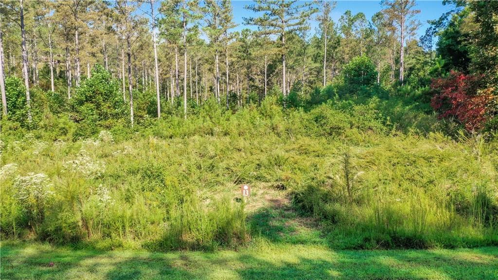 unimproved land for sale at 13 Poetic Court, Ellijay, GA 30540 — photo 10