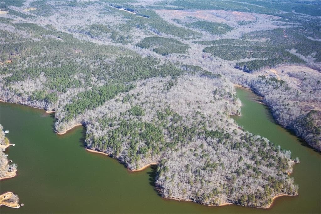 unimproved land for sale at 0 AL-49 Highway, Dadeville, AL 36853 — photo 1 of 9