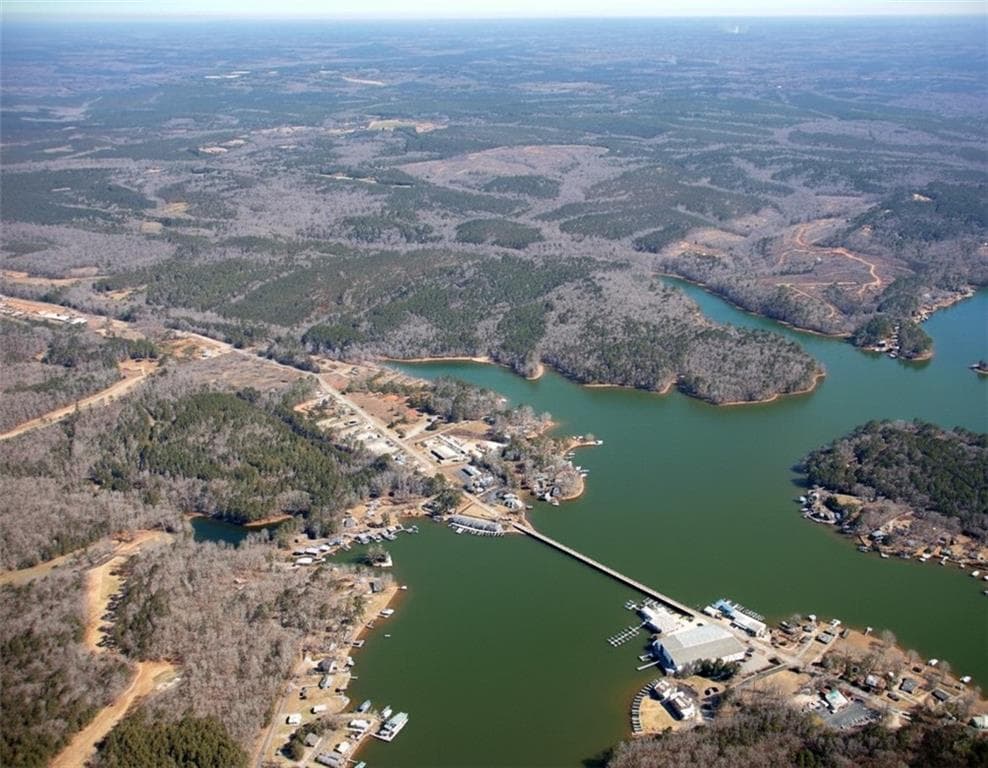 unimproved land for sale at 0 AL-49 Highway, Dadeville, AL 36853 — photo 3