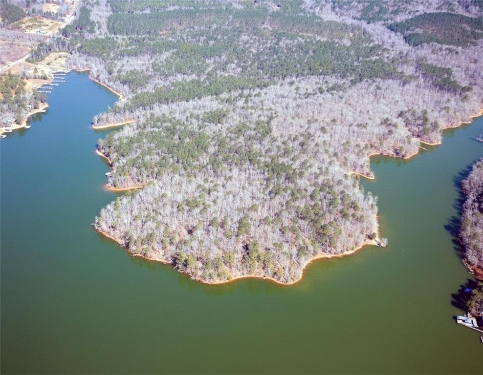 unimproved land for sale at 0 AL-49 Highway, Dadeville, AL 36853 — photo 4